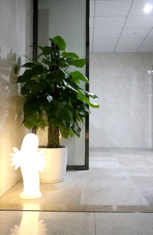 Valaisin Muumi Hattivatti L 60cm